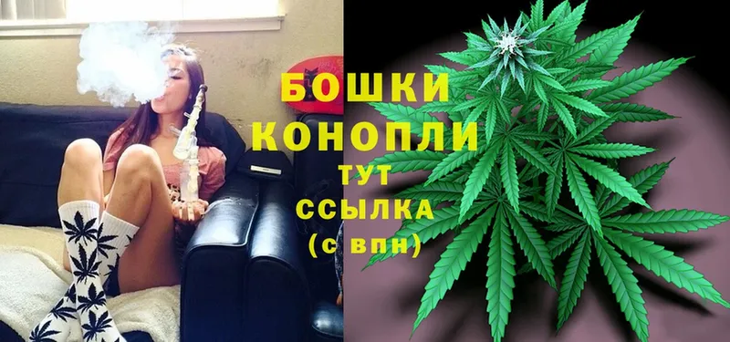 Шишки марихуана Ganja  где купить   кракен ТОР  Канаш 